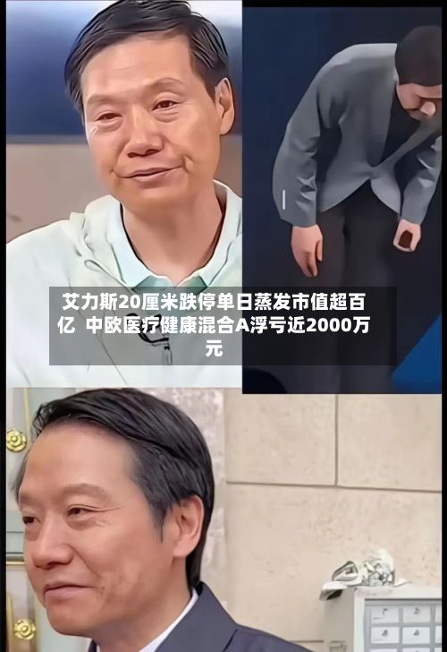 艾力斯20厘米跌停单日蒸发市值超百亿 中欧医疗健康混合A浮亏近2000万元-第2张图片