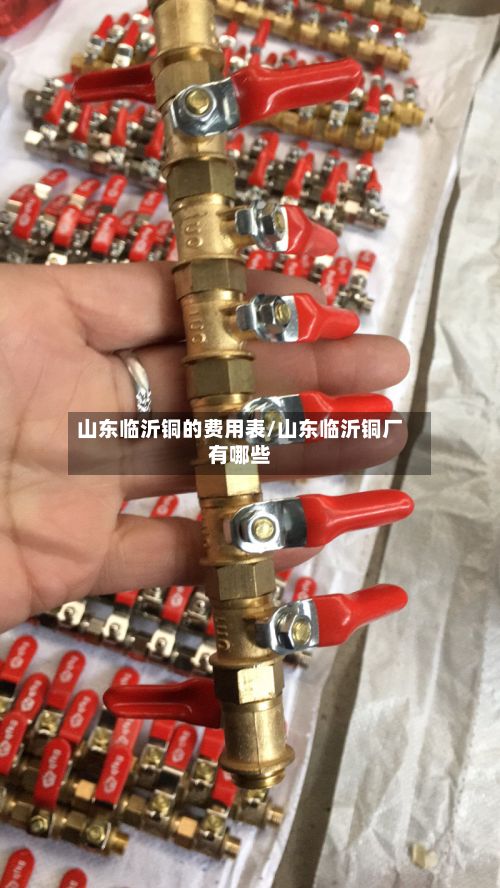 山东临沂铜的费用表/山东临沂铜厂有哪些