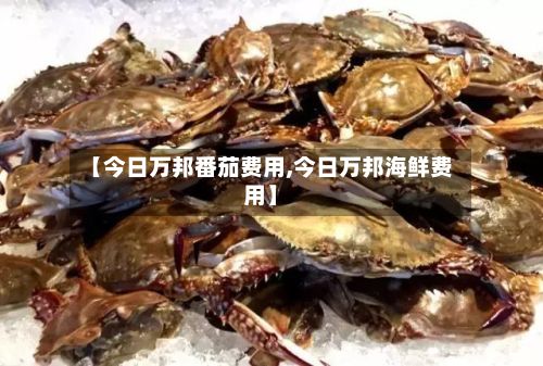 【今日万邦番茄费用,今日万邦海鲜费用】