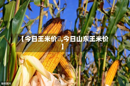 【今日王米价栘,今日山东王米价】-第2张图片