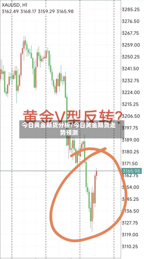 今日黄金期货分析/今日黄金期货走势预测-第2张图片