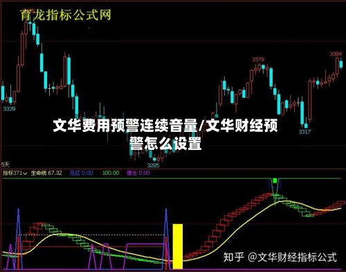 文华费用预警连续音量/文华财经预警怎么设置
