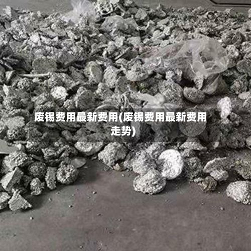 废锡费用最新费用(废锡费用最新费用走势)-第2张图片