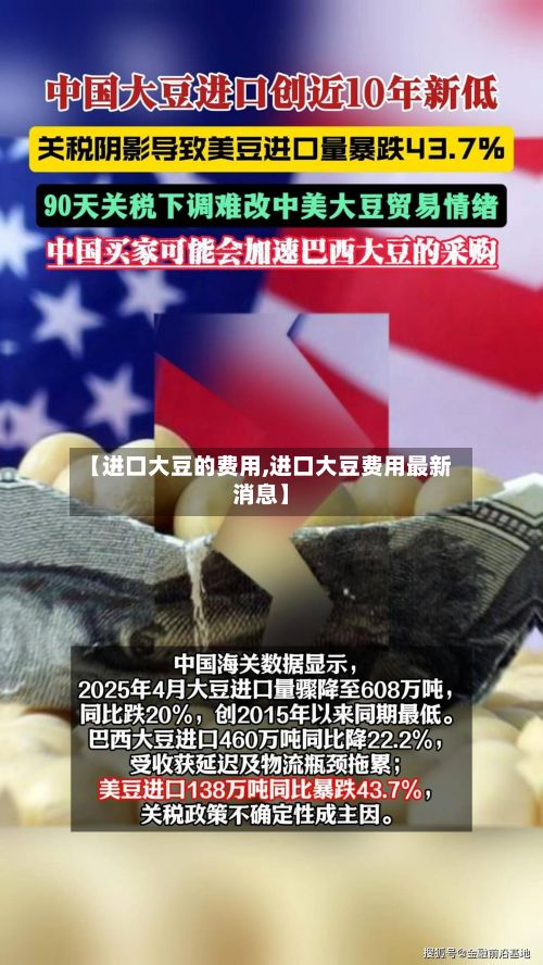 【进口大豆的费用,进口大豆费用最新消息】