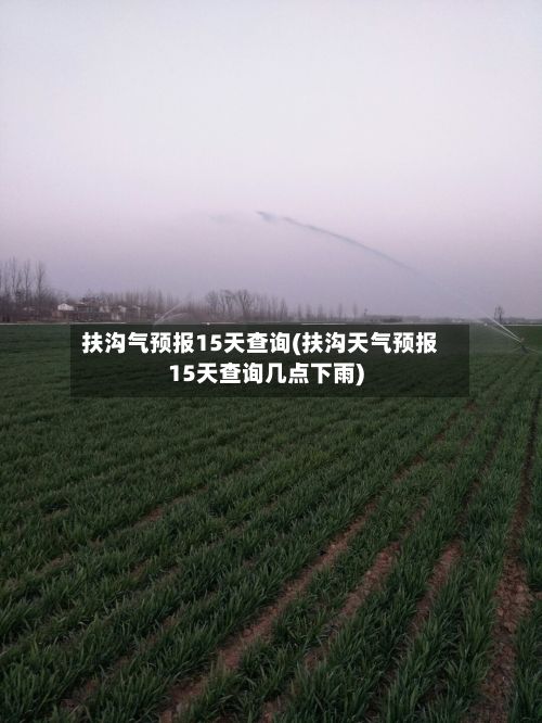 扶沟气预报15天查询(扶沟天气预报15天查询几点下雨)-第3张图片