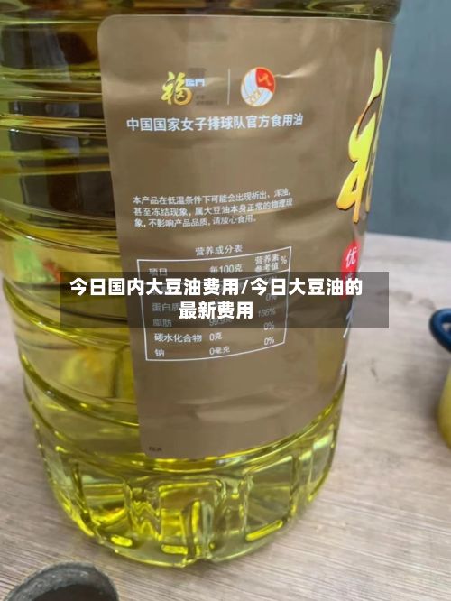 今日国内大豆油费用/今日大豆油的最新费用-第2张图片