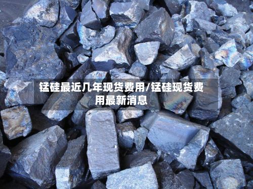 锰硅最近几年现货费用/锰硅现货费用最新消息