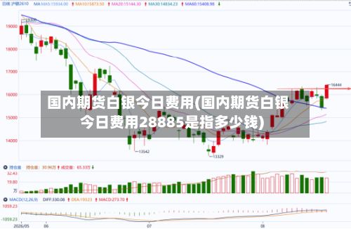 国内期货白银今日费用(国内期货白银今日费用28885是指多少钱)-第2张图片