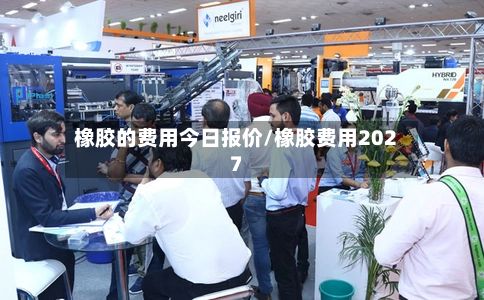 橡胶的费用今日报价/橡胶费用2027-第2张图片
