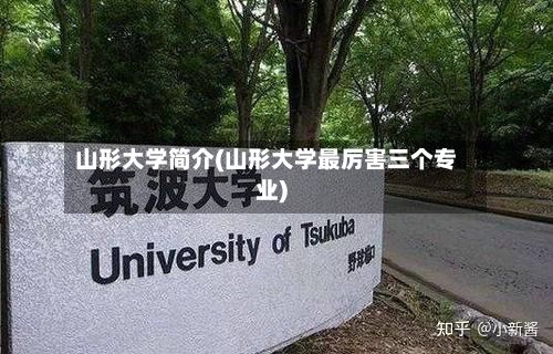 山形大学简介(山形大学最厉害三个专业)-第3张图片
