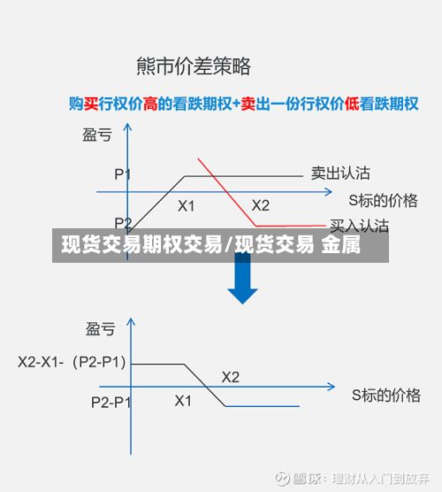 现货交易期权交易/现货交易 金属