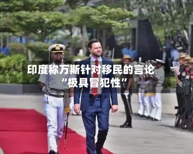 印度称万斯针对移民的言论“极具冒犯性	”-第1张图片