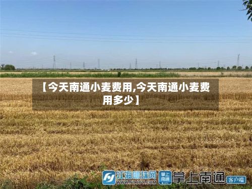 【今天南通小麦费用,今天南通小麦费用多少】