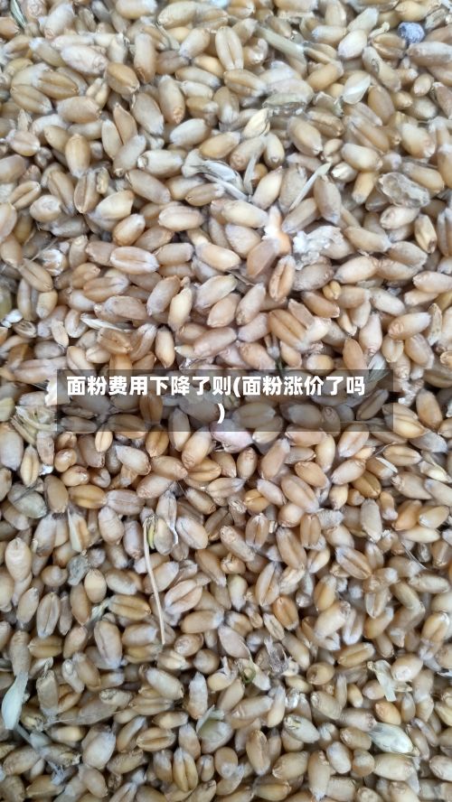 面粉费用下降了则(面粉涨价了吗)-第3张图片
