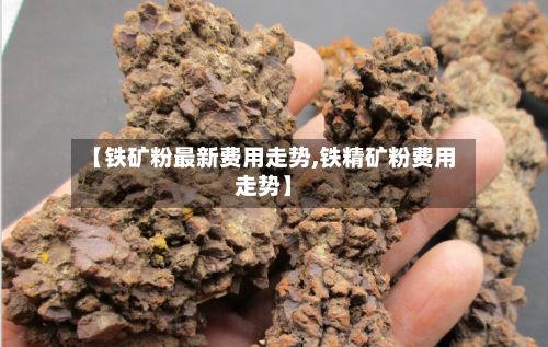 【铁矿粉最新费用走势,铁精矿粉费用走势】