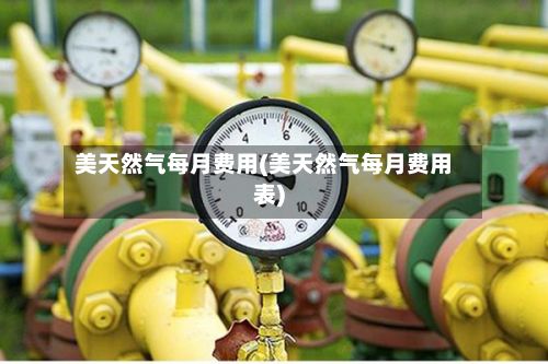 美天然气每月费用(美天然气每月费用表)-第2张图片