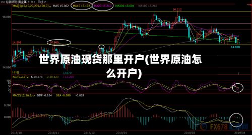 世界原油现货那里开户(世界原油怎么开户)-第3张图片