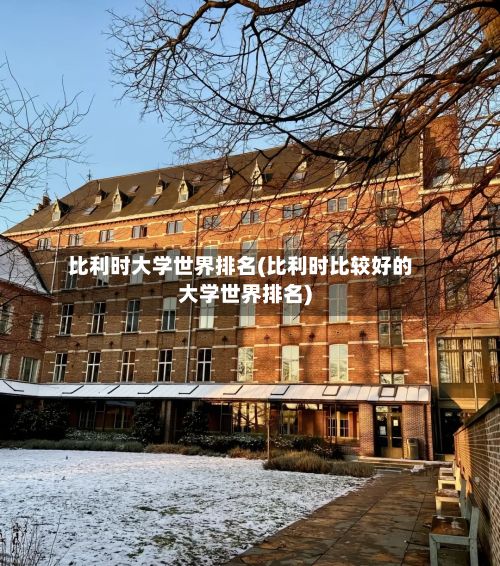 比利时大学世界排名(比利时比较好的大学世界排名)-第3张图片