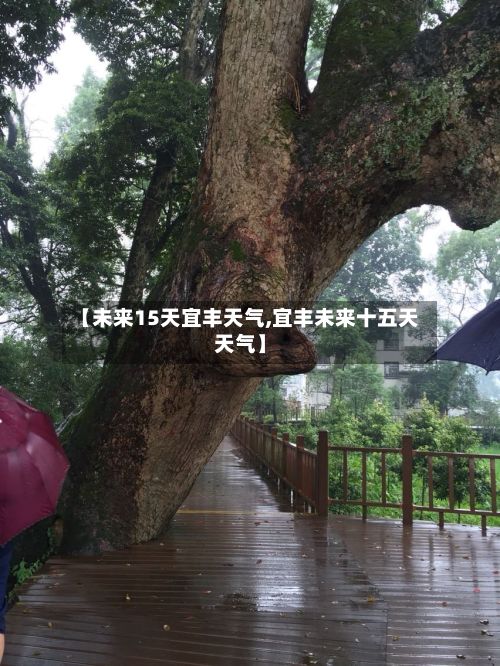 【未来15天宜丰天气,宜丰未来十五天天气】