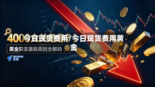 今日现货费用/今日现货费用黄金