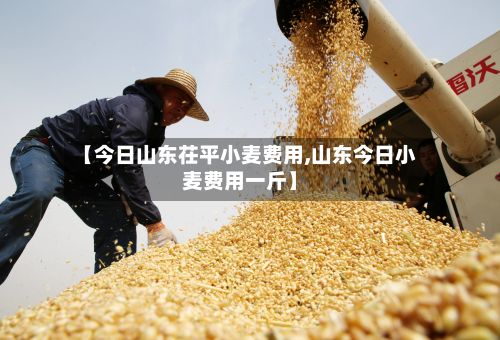 【今日山东茌平小麦费用,山东今日小麦费用一斤】-第2张图片