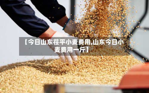 【今日山东茌平小麦费用,山东今日小麦费用一斤】