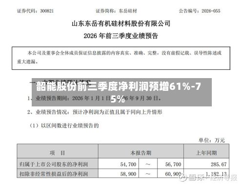 韶能股份前三季度净利润预增61%-75%-第2张图片