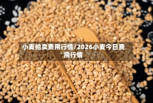 小麦拍卖费用行情/2026小麦今日费用行情