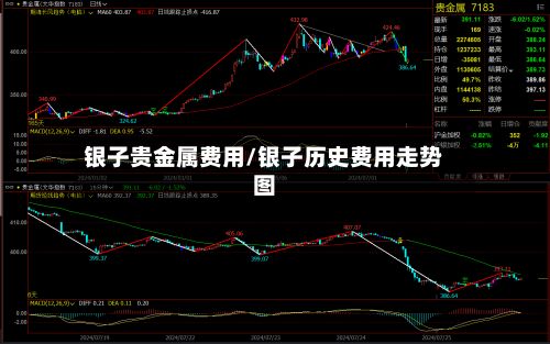 银子贵金属费用/银子历史费用走势图-第2张图片