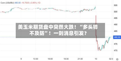 美玉米期货盘中突然大跌！“多头猝不及防”！一则消息引发？-第1张图片