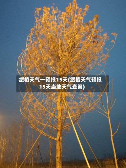 绥棱天气一预报15天(绥棱天气预报15天当地天气查询)