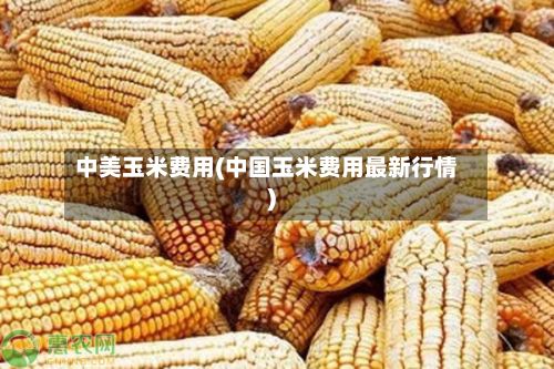 中美玉米费用(中国玉米费用最新行情)-第2张图片