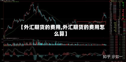 【外汇期货的费用,外汇期货的费用怎么算】-第2张图片