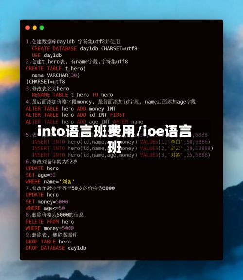 into语言班费用/ioe语言班