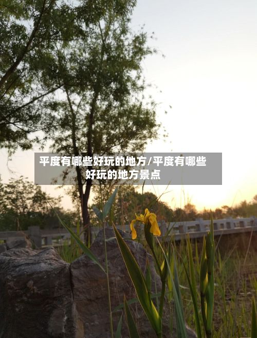平度有哪些好玩的地方/平度有哪些好玩的地方景点