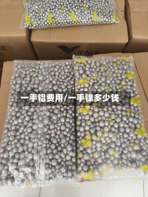 一手铝费用/一手镍多少钱