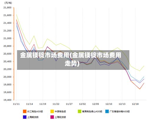 金属镁锭市场费用(金属镁锭市场费用走势)-第2张图片