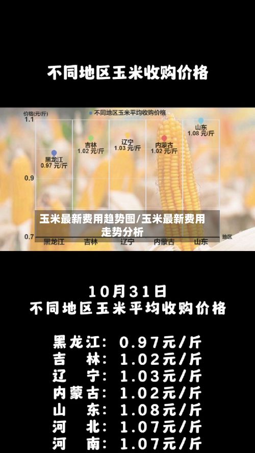 玉米最新费用趋势图/玉米最新费用走势分析