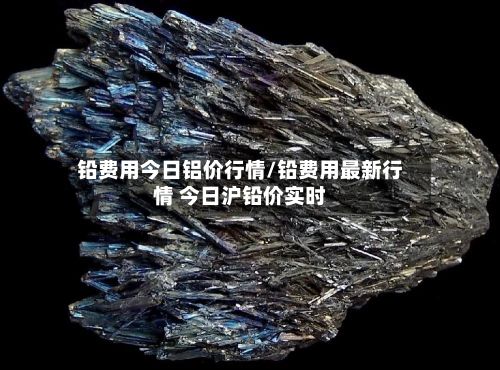 铅费用今日铝价行情/铅费用最新行情 今日沪铅价实时-第2张图片