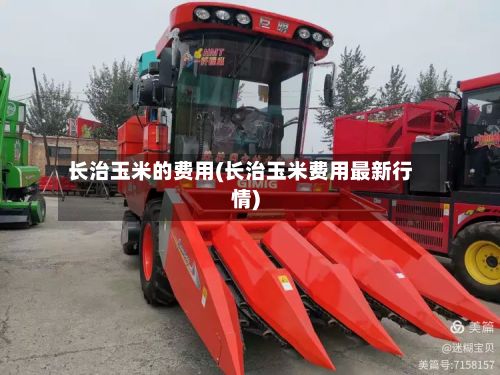 长治玉米的费用(长治玉米费用最新行情)-第2张图片