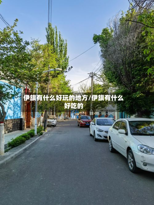 伊旗有什么好玩的地方/伊旗有什么好吃的-第3张图片