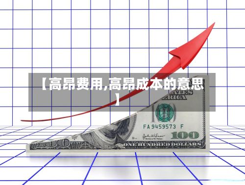【高昂费用,高昂成本的意思】