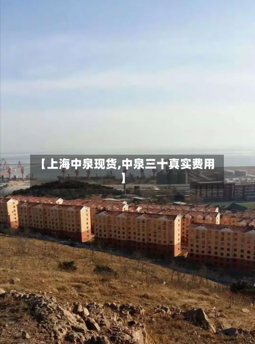 【上海中泉现货,中泉三十真实费用】