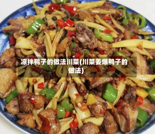 凉拌鸭子的做法川菜(川菜姜爆鸭子的做法)-第3张图片
