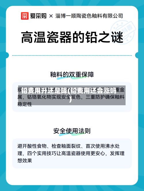 铅费用升还是降(铅费用还会涨吗)