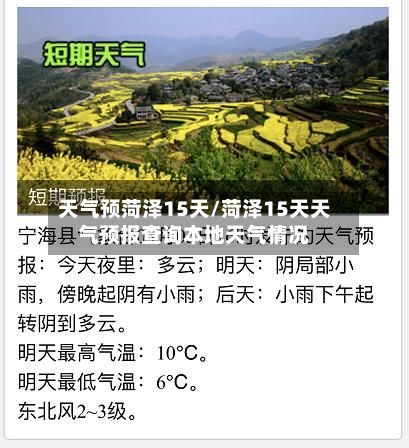 天气预菏泽15天/菏泽15天天气预报查询本地天气情况-第2张图片