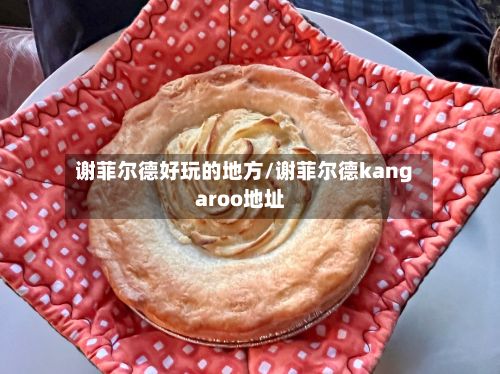 谢菲尔德好玩的地方/谢菲尔德kangaroo地址
