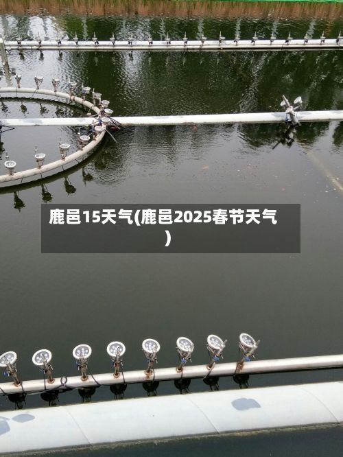 鹿邑15天气(鹿邑2025春节天气)