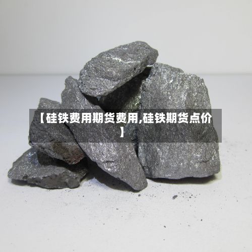 【硅铁费用期货费用,硅铁期货点价】