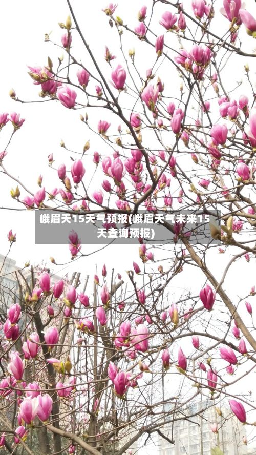峨眉天15天气预报(峨眉天气未来15天查询预报)-第2张图片